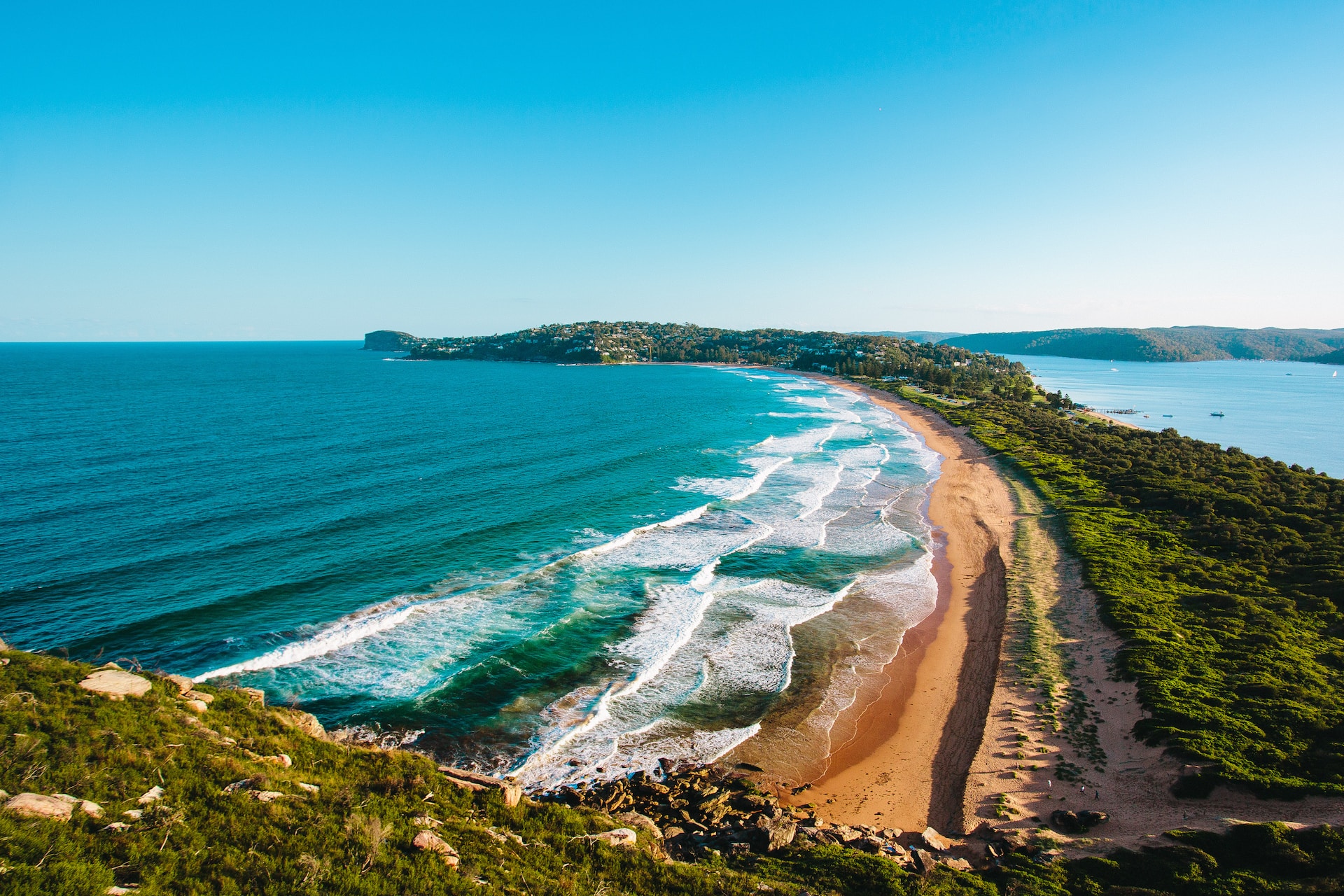 buying property in manly palm beach northern beaches area